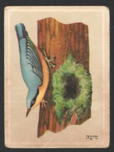 Sitta card From Israeli Animals Cards Set, By Tamar 1960's judica - Picture 1 of 2