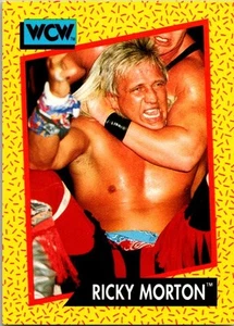 1991 Impel WCW #102 Ricky Morton - Picture 1 of 2