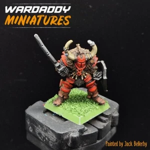 Pro painted Warhammer fantasy Chaos champion OOP METAL *RARE* oldhammer wardaddy - Picture 1 of 3