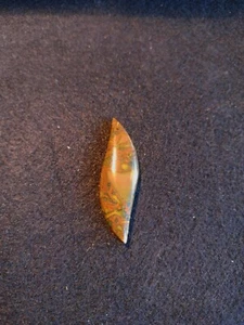 Fruitcake jasper - Picture 1 of 1