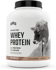Levels Grass Fed Whey Protein, No Artificials, 24G of Protein, Pure Chocolate, 5