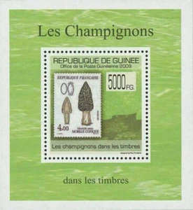 Stamp in a Stamp Mushrooms Fungi France Mini Sov. Sheet MNH - Picture 1 of 2