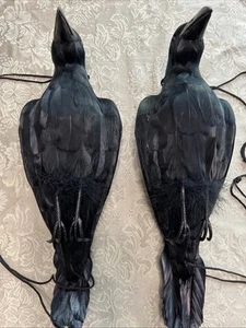 Señuelo Lewtemi 2 piezas 17 pulgadas realista colgante cuervos muertos tamaño real negro hazaña - Imagen 1 de 22