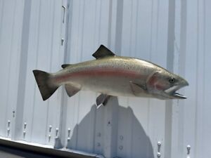 29" Rainbow Trout Trout Two Sided Fish Mount Replica - In Stock & Ready to Ship