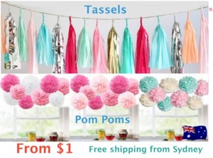 Paper Tassels Garlands and Pom Poms Bunting Party Wedding Decoration pompoms - Picture 1 of 61