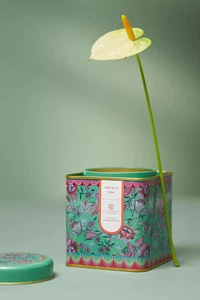 NEU Anthropologie Alexandra Farmer The Flock frischer Lotus Zinnkerze 15 Unzen - Bild 1 von 3