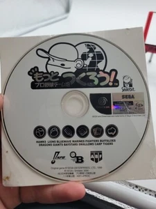 Let's make a professional baseball team!  - Picture 1 of 1