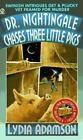 Dr. Nightingale Chases Three Little Pigs: A Deirdre Quinn Nightingale Mystery...