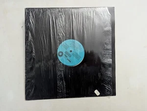 Nas-T Boyz What I’m Feeling 12” Record Album Vinyl LP Freestyle Mix - Picture 1 of 4