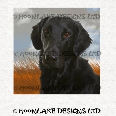 MOONLAKE FABRICS Dog - Flat coated retriever Fabric Craft Panels in 100% Cotton or Polyester