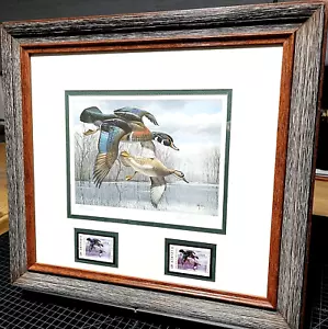 Stampa timbro David Maass 1984 Texas Waterfowl Duck francobolli doppi cornice nuova - Foto 1 di 6