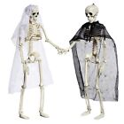 Posable Halloween Skeleton Bridegroom Haunted House Decorations  Halloween
