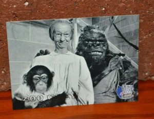 TRADING CARD THE BEVERLY HILLBILLIES ZOO CREW GRANNY IRENE RYAN