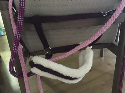 Halfter Set VB/Cob  weinrot/weiß mit Webpelz mit passendem  Anbinder, Showmaster - Bild 1 von 2