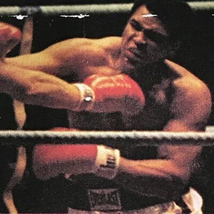 OLYMPICS MUHAMMAD ALI Brooke Bond Tea Card Olympic Greats #21 Boxing Gold 1960 - Picture 1 of 3