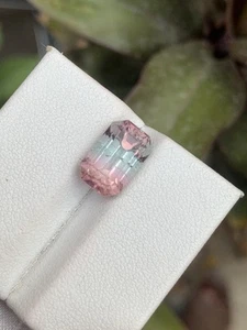 4.46Cts Beautiful Bicolor Tourmaline Dimension 11x7.2x7 - Picture 1 of 4