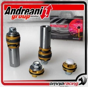 Kit Pompe de Fourche Compression et Rebond Andreani Honda CRF 150 07 - Picture 1 of 5