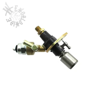 Fuel Pump With Solenoid For L100 186F 10HP Chinese Engine Yanmar Diesel Engine - Imagen 1 de 6