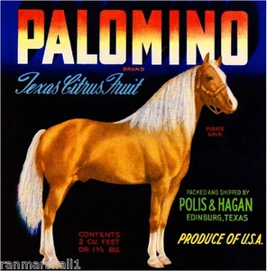Impresión de etiqueta de caja de cítricos Edinburg Texas Palomino Horse Pirate dorado naranja - Imagen 1 de 1