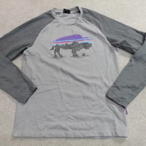 Patagonia Sweater Small Gray Fitz Roy Bison Lightweight Crew Sweatshirt - Picture 1 of 9