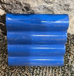 Pack of  4 ER261020 3.6V 16000mAh  Li-SOCl2 Double C Batteries PKCELL NEW - Picture 1 of 4