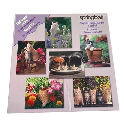 Springbok Challenger Series Gatti 480 Pezzi (6) 80 Pezzi Mimi Puzzle - Immagine 1 di 4
