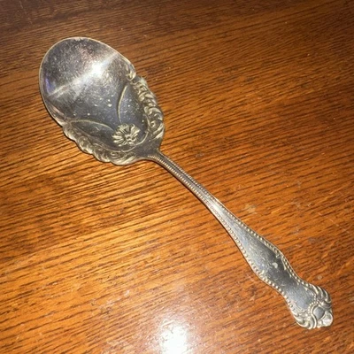 Patrón Oneida con cuentas Niagara Falls Silver Co. Cuchara para servir extra jugada Foto 1 de 4