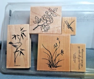 Juego de estampillas ARTESTERIO ASIÁTICO Stampin Up pájaro de bambú retirado libélula ir con corazón - Imagen 1 de 2