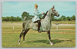 RPPC Lovely Lady Sitting on Top Five-Gaited Show Horse Named Stonewall Sport - Picture 1 of 4