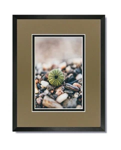 11x14 EcoLine Black Picture Frame with Tumbleweed/Black Mat for 8.5x11 - Picture 1 of 4