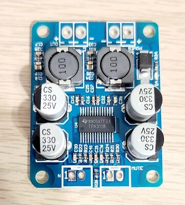 TPA3118 P BTL Mono Digital Placa Amplificador Módulo AMP 1*60W DC 9-24V EE. UU. 1 PIEZA Foto 1 de 2