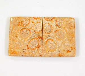 Par de piedras preciosas fosilizadas cabujón radiante coral fósil natural de 22 quilates DH = 380 - Imagen 1 de 7