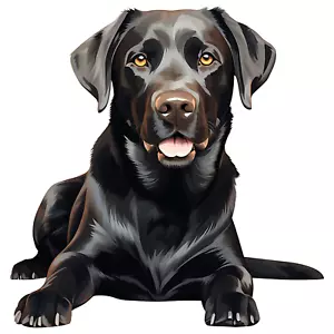 2X Labrador Retriever Auto Aufkleber Hunde Sticker - Picture 1 of 1