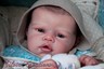 Custom Reborn Baby Angelina by Romie Strydom - Boy or Girl, LONG SOLD OUT