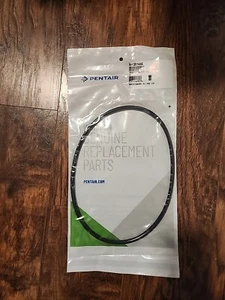 PENTAIR POOL/SPA XF Series 351446 Seal Plate O-Ring for Pumps - Picture 1 of 3