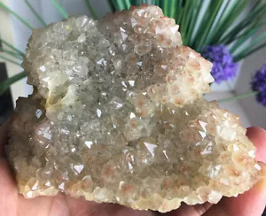 588g!!! Uruguay Natural Red Quartz Crystal Geode Cluster specimen Healing H6 - Picture 1 of 12
