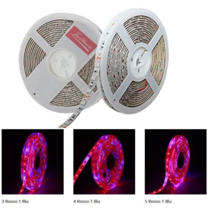 5050 300LED Grow lights red:Blue DC12V 3:1,4:1,5:1 led strip For Plant Growing - Picture 1 of 6