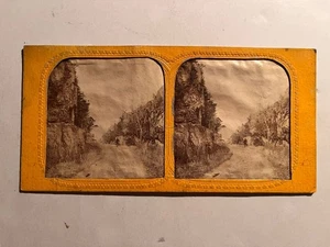 Antique Stereoview Stereophoto Rural Landscape Hand Painted From 1880's - Picture 1 of 4