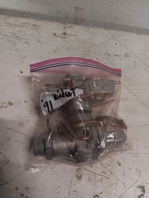 gato ártico gato salvaje 700 carbohidratos Foto 1 de 4