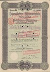 Hohenlohesche Nähmittelfabrik Aktiengesellschaft zu Gerobronn, Birkel-Nudeln