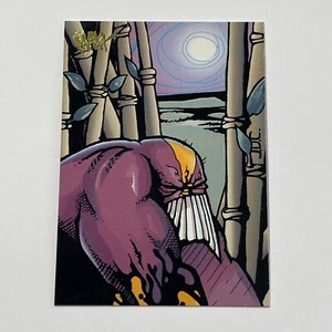 1996 Wildstorm The Maxx James Daan Conklin The Maxx Comic Card #84 - Bild 1 von 2