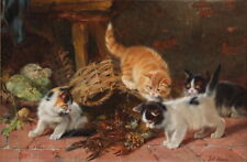 Cat finds lobster oil painting Wall art HD Giclee Printed on Canvas P1990