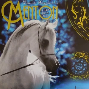 N2247 Poster Horse Mediterranean Country Arab Championship Menton 2008 Pn France - Picture 1 of 12