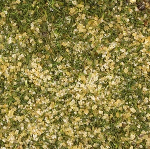 Spezie FTM Gravad Lax Classic 175 g bustina Fishing Tackle Max pesca cucina cook - Foto 1 di 2