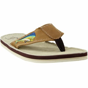 الثور الفصل تسلية chancletas guy harvey - labelmule.com