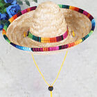 Cat Sombrero Dog Woven Straw Hat Sombrero Party Hats Cat Straw Hat