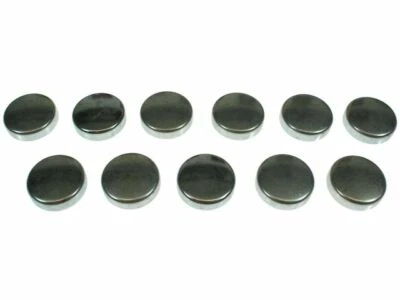 Kit de enchufe de expansión para Toyota T100 1993-1994 22714NW 3,0 L V6 3VZ-E VIN: V SOHC Foto 1 de 2