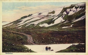 Postal de Islandia, KALDIDALUR, Highland Road (década de 1920) - Imagen 1 de 2
