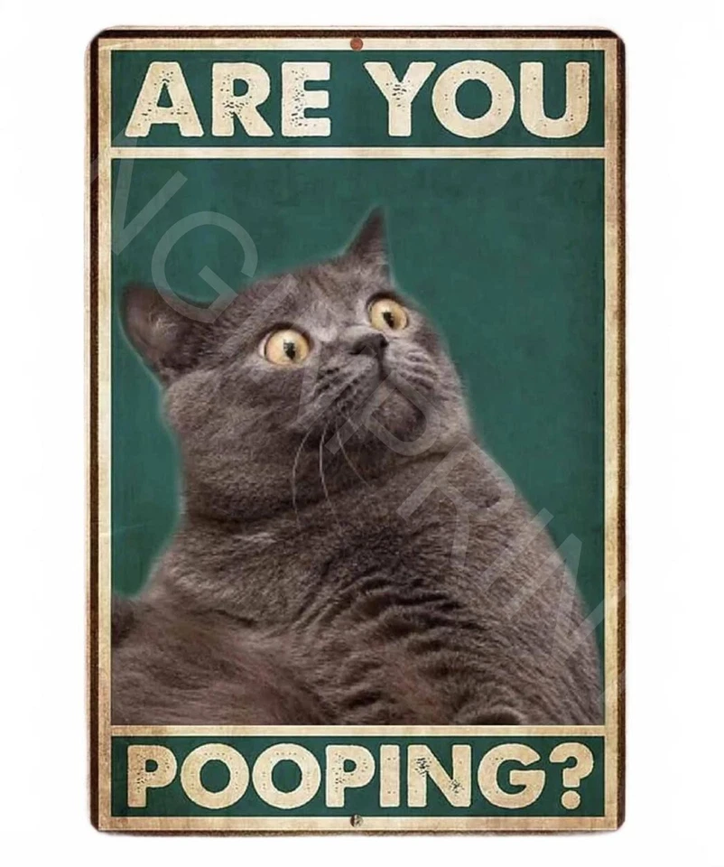 Металлическая алюминиевая табличка Are You Pooping Cat 8 x 12 дюймов смешной туалет для ванной - Изображение 1 из 1