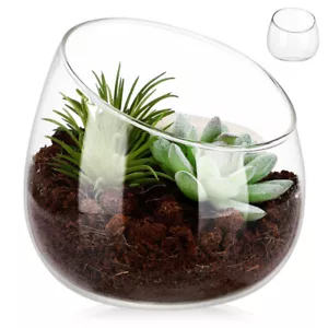 Glass Vase Vases Succulent Pot Flower Pots for Indoor Plants Fish Bowl - Picture 1 of 11